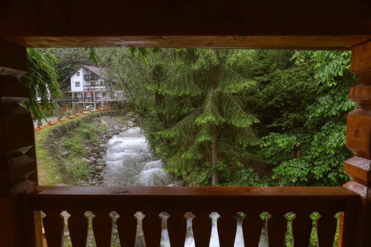 Hotel Ivascu Моисей Екстериор снимка