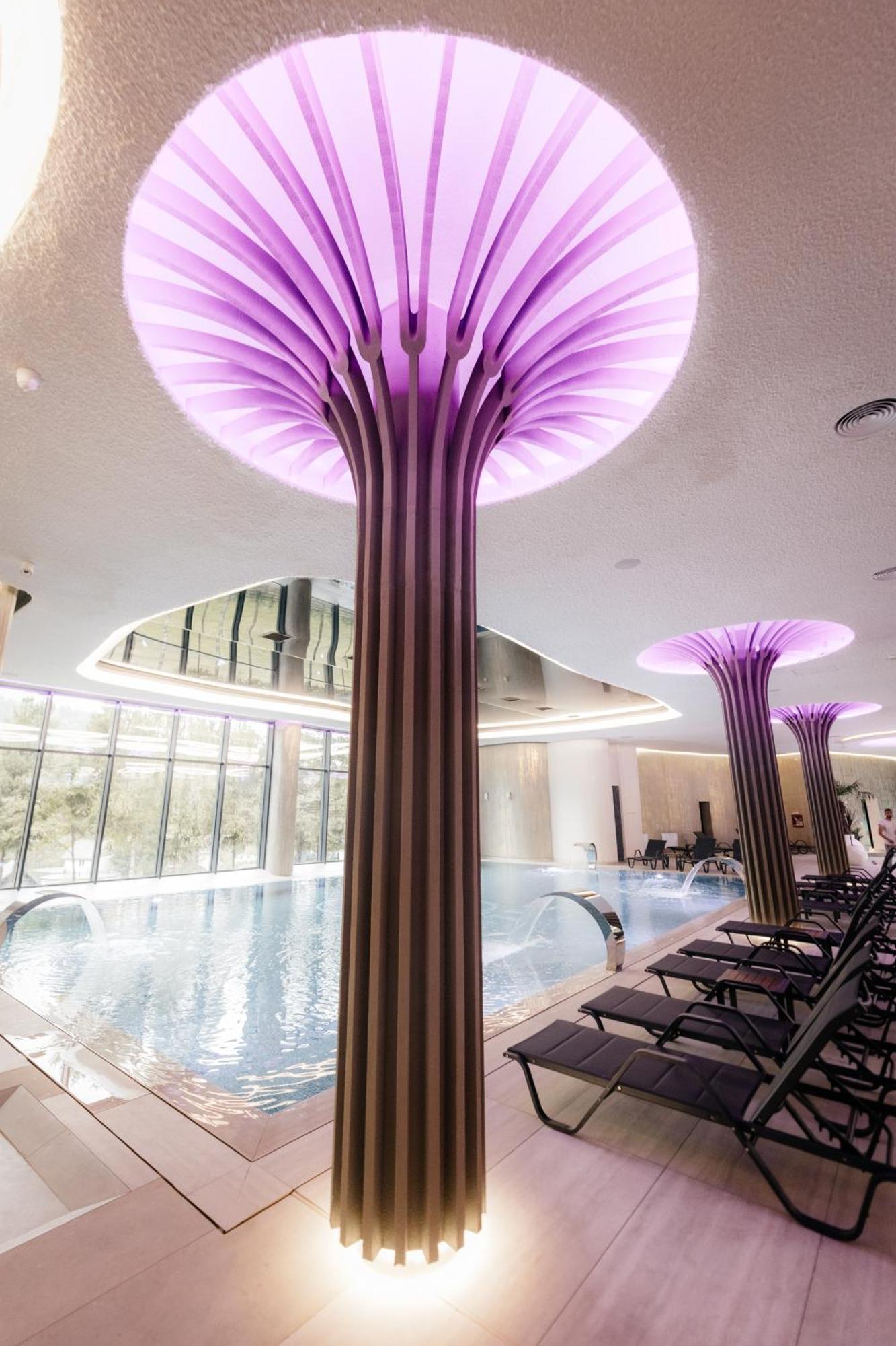 Hotel Ivascu Моисей Екстериор снимка